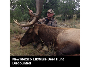 New Mexico Elk/Mule Deer Hunt Discounted