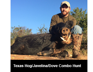 (3) Texas Hog/Hawg/Javelina and Dove Combo